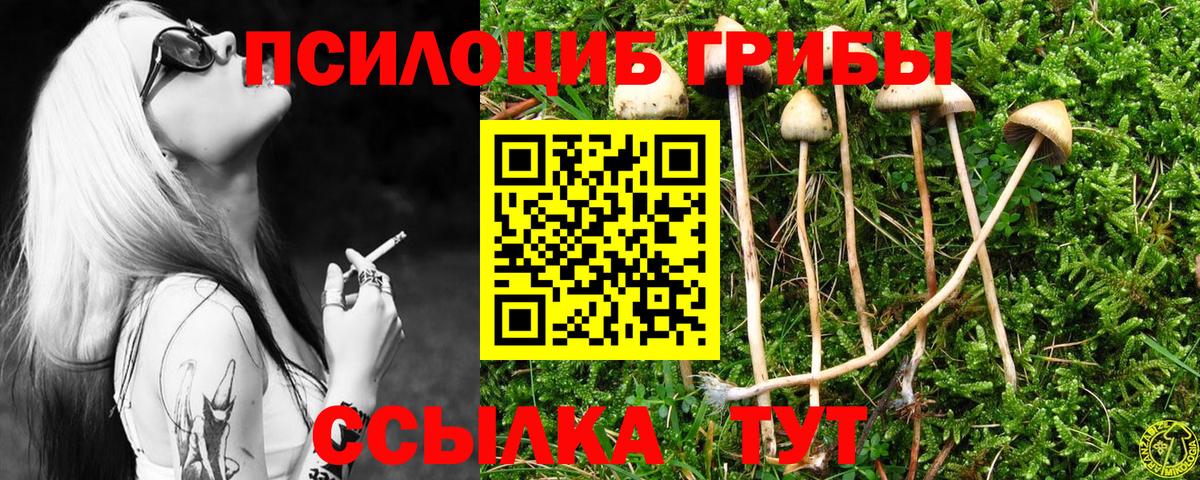 Псилоцибиновые грибы Psilocybine cubensis Крымск