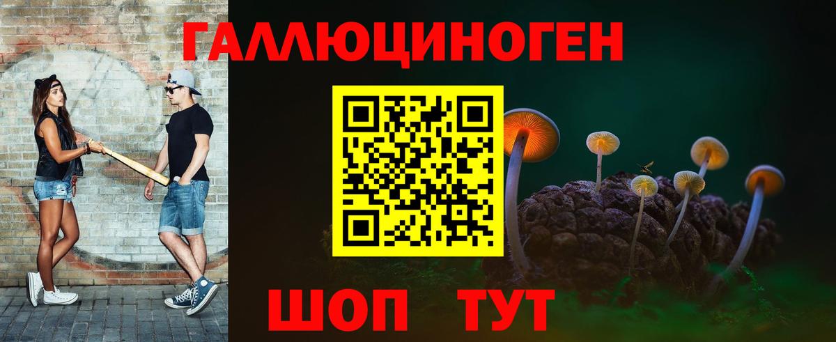 Псилоцибиновые грибы GOLDEN TEACHER  закладка  Крымск  Вход с VPN 